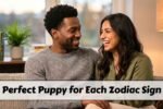 The Perfect Puppy for Each Zodiac Sign According to Personality Traits